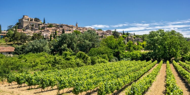 ‘PestiRiv’, l’étude d’exposition aux pesticides chez les riverains des zones viticoles révélée ce lundi