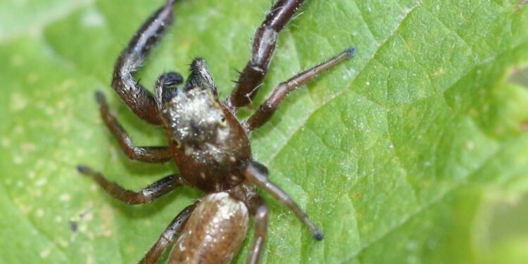 Rentrée du Café des sciences dès ce jeudi chez Françoise à Avignon