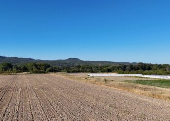 (Vidéo) Parc du Luberon : un projet pour garder les terres agricoles utiles et vivantes
