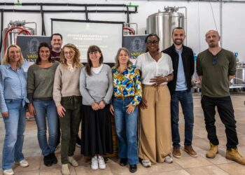 Vaison Ventoux Provence : une saison 2025 solide et une stratégie 2026-2028 d’excellence durable