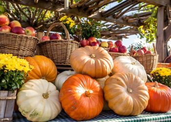 Cavaillon célèbre l’automne