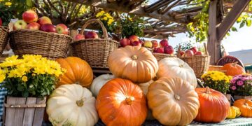 Cavaillon célèbre l’automne