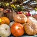 Cavaillon célèbre l’automne