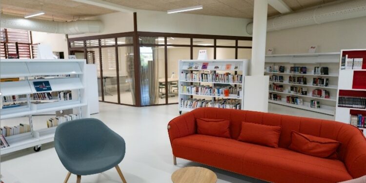 Sorgues : le Service Livre et Lecture entre dans une nouvelle ère