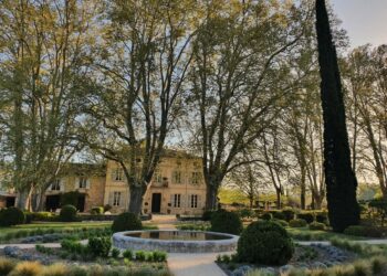 Saveurs en balade : une symphonie d’automne au Vallon d’Aubignan