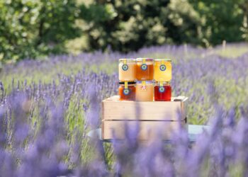 Miel : les apiculteurs provençaux misent aussi sur l’Europe