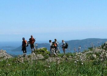 Avignon 25 ans après : Volubilis fait dialoguer le beau et la cité