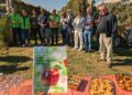 Juliet®, la pomme 100 % bio et française qui veut croquer le marché