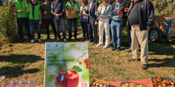 Juliet®, la pomme 100 % bio et française qui veut croquer le marché