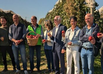 Juliet®, la pomme 100 % bio et française qui veut croquer le marché