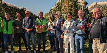 Juliet®, la pomme 100 % bio et française qui veut croquer le marché