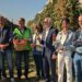 Juliet®, la pomme 100 % bio et française qui veut croquer le marché
