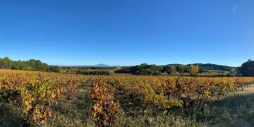 Opération ‘Le champs des rencontres’ : visite d’un domaine viticole à Mondragon avec Carrefour