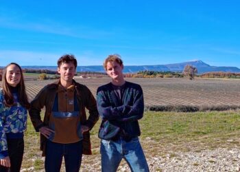 Fayo, la légumineuse bio pour la restauration collective