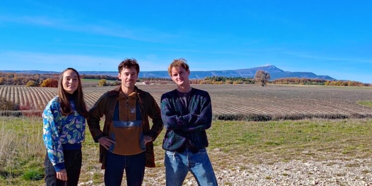 Fayo, la légumineuse bio pour la restauration collective