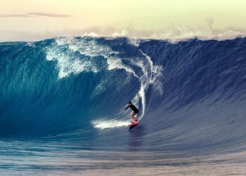(Vidéo) La Nuit de la Glisse au cinéma Capitole : quand sport et liberté ne font qu’un