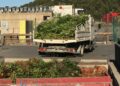 Afflux de déchets verts : Vaison joue l’agilité
