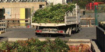 Afflux de déchets verts : Vaison joue l’agilité