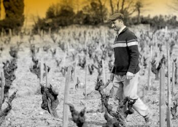 Emmanuel Reynaud : la disparition d’une des légendes de Châteauneuf-du-Pape