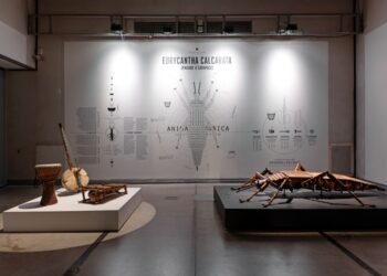 Les animaux nous parlent, venons les écouter au Grenier à Sel jusqu’au 31 décembre