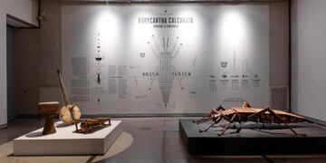 Les animaux nous parlent, venons les écouter au Grenier à Sel jusqu’au 31 décembre