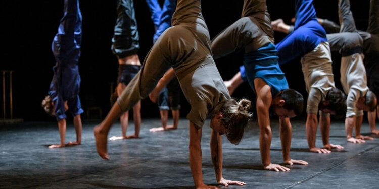 Faire l’autruche à la Garance de Cavaillon