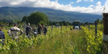 Programme RES-MAB : les agriculteurs du Ventoux explorent les défis climatiques