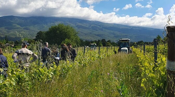 Programme RES-MAB : les agriculteurs du Ventoux explorent les défis climatiques
