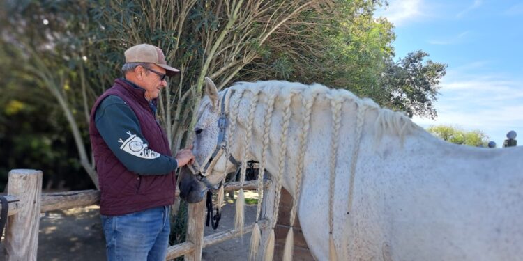 Au Camarkas, Thierry Pellegrin murmure à l’oreille des chevaux de Camargue