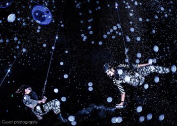 (Vidéo) Les Noëls Insolites commencent ce week-end à Carpentras