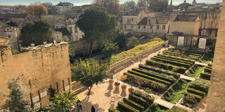 Noël aux jardins : Avignon en musique sous les étoiles