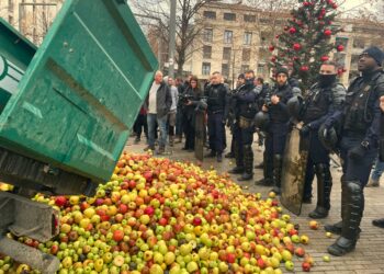 Avignon et Vaucluse : Colère paysanne contre le Mercosur