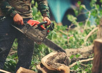 Débroussailler en Vaucluse ? Une obligation vitale pour se protéger