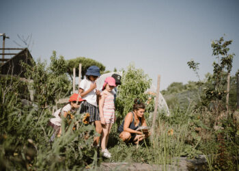 (Vidéo) Les Jeunes Pousses cultivent l’École du Dehors à Avignon