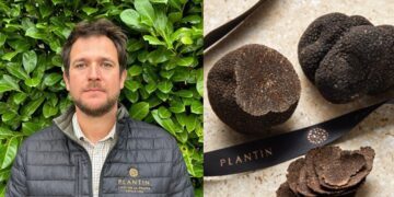 Un nouvel acheteur de truffes pour Plantin qui renforce sa présence dans le Sud-Ouest