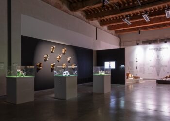 Les animaux jouent les prolongations au Grenier à Sel d&rsquo;Avignon