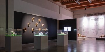 Les animaux jouent les prolongations au Grenier à Sel d&rsquo;Avignon