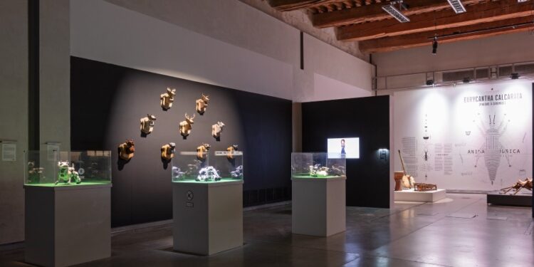 Les animaux jouent les prolongations au Grenier à Sel d&rsquo;Avignon