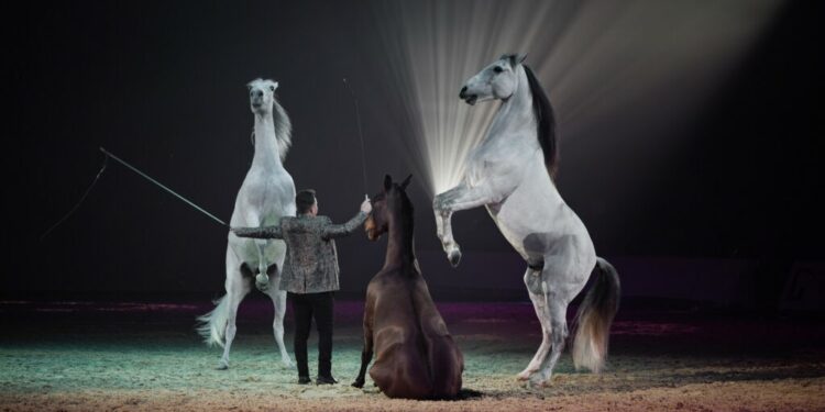 Avignon va monter sur ses grands chevaux pour les 40 ans de Cheval Passion du 14 au 18 janvier