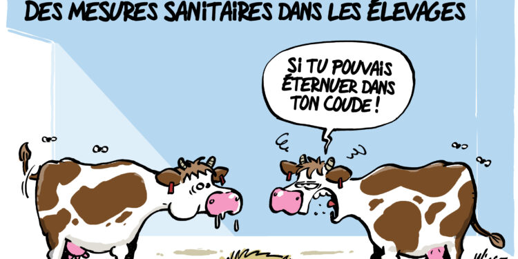 La dermatose bovine vue par Wingz pour l&rsquo;Echo du Mardi