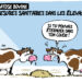 La dermatose bovine vue par Wingz pour l&rsquo;Echo du Mardi