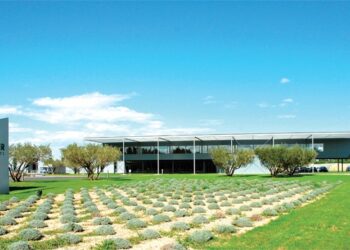 (Vidéo) Gautier Semences dévoile un site web modernisé