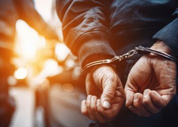 En 2025, 193 OQTF ont été expulsés en Vaucluse