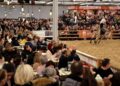 Spectaculaire et sportif, Cheval Passion se rapproche au triple galop du Parc des Expos d&rsquo;Avignon