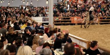 Spectaculaire et sportif, Cheval Passion se rapproche au triple galop du Parc des Expos d&rsquo;Avignon