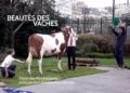 Élevage, une enquête explore la recherche de la &lsquo;belle vache&rsquo; Montbéliarde