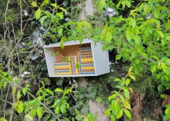 Ventoux : une aide pour les agriculteurs souhaitant renforcer leurs sols ou leur biodiversité