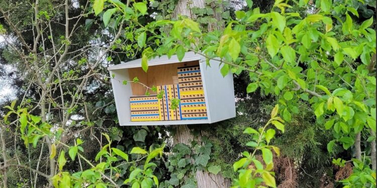 Ventoux : une aide pour les agriculteurs souhaitant renforcer leurs sols ou leur biodiversité