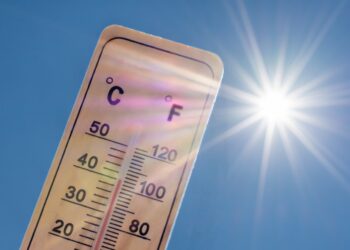 Le Vaucluse en première ligne du dérèglement climatique