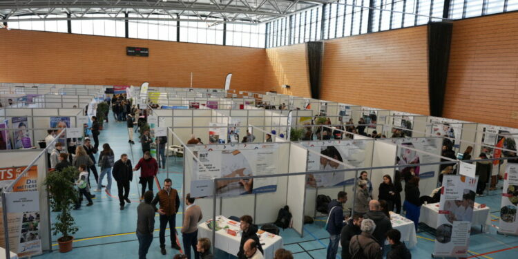 (Vidéo) Avignon Université : un forum pour en apprendre plus sur les études supérieures